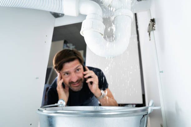 Best 24-Hour Plumber Near Me  in Shadybrook, TX
