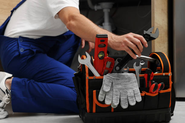 Best Commercial Plumbing Services  in Shadybrook, TX
